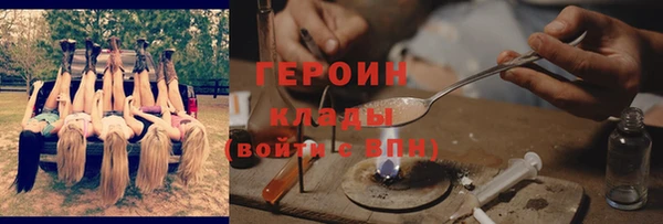 прущие грибы Абаза