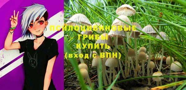 гашиш Осинники