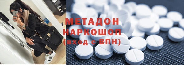 прущие грибы Абаза