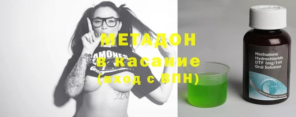 прущие грибы Абаза