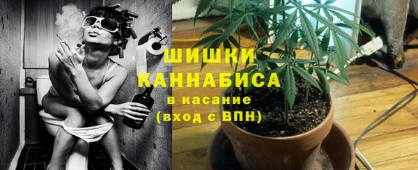 прущие грибы Абаза