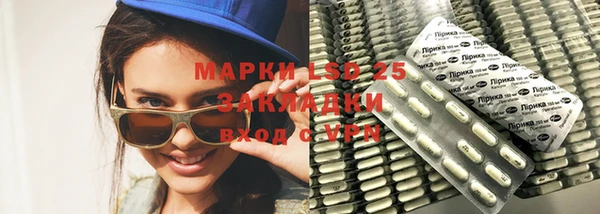 прущие грибы Абаза