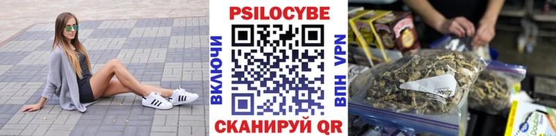 Псилоцибиновые грибы GOLDEN TEACHER наркошоп Амурск
